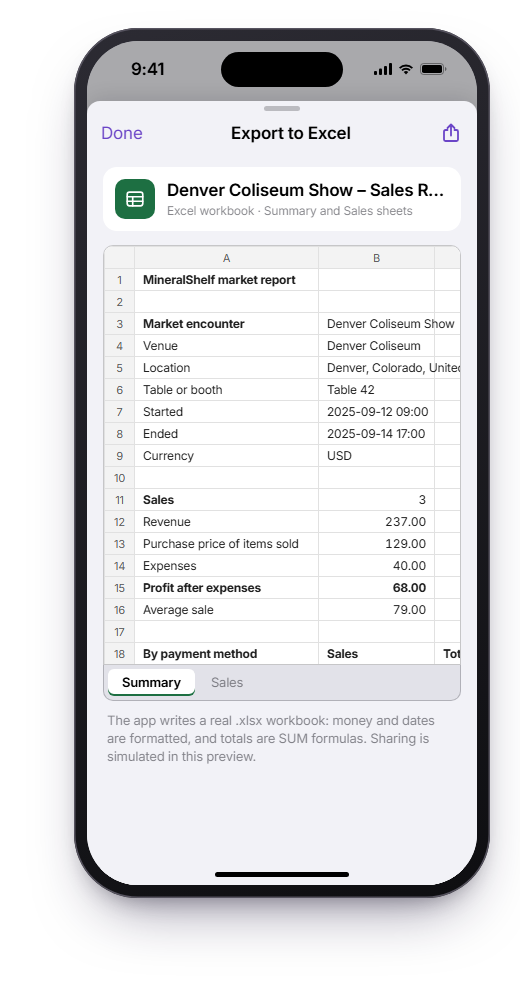 The Excel export preview, showing a Summary sheet with revenue, expenses and profit